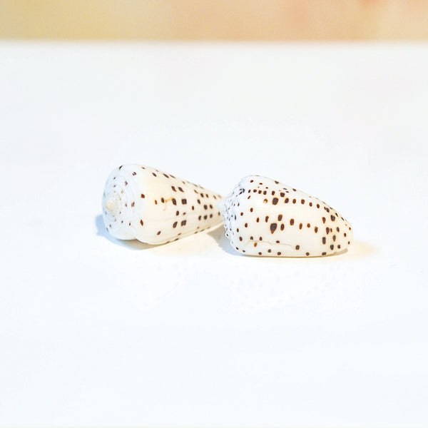 White and Tan Speckled Cones Shells